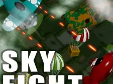 Sky Fight